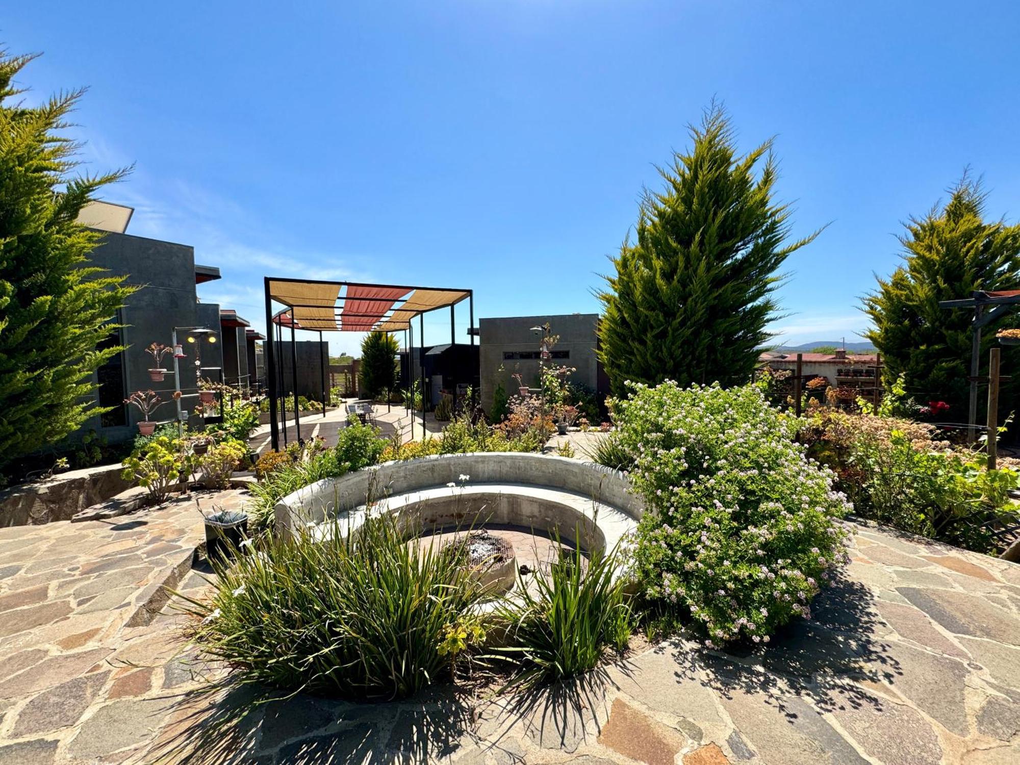 Entre Vides Valle De Guadalupe Bagian luar foto